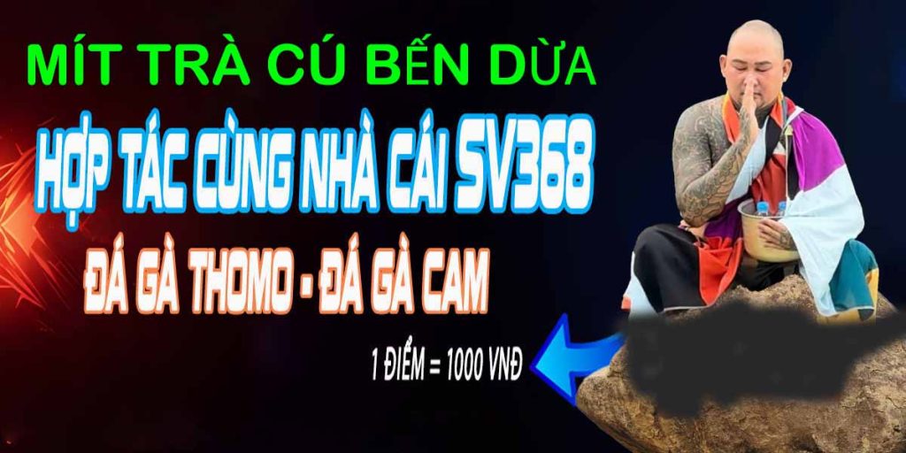 MÍT TRÀ CÚ 1